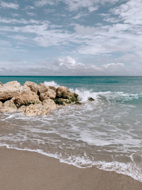 istock Dreamy Shoreline on a Winter Beach Day on Palm Beach, Florida 1369435755