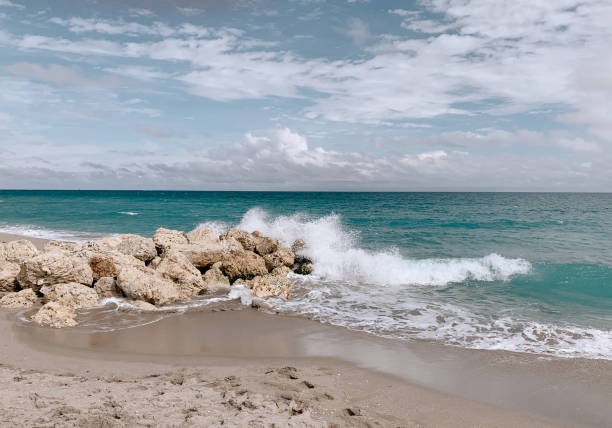 istock Dreamy Shoreline on a Winter Beach Day on Palm Beach, Florida 1369435768