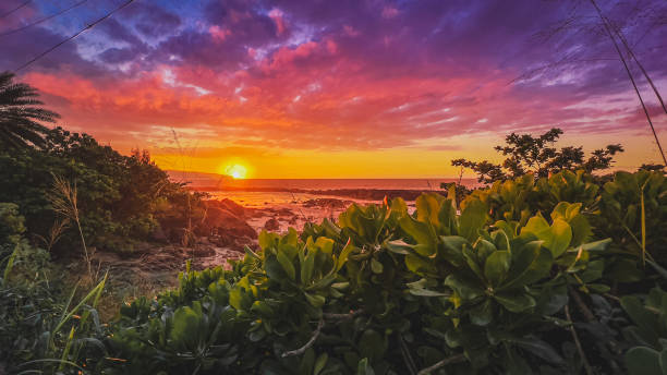 夕焼け風景 - north shore hawaii islands usa oahu ストックフォトと画像