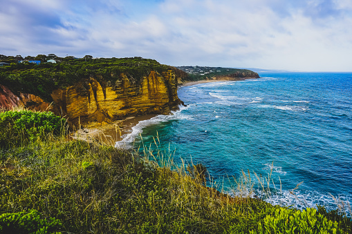 View of the Ocean and cliffs in Australia over some plants.
