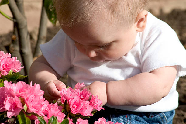 istock A young baby attempting to garden 136944347