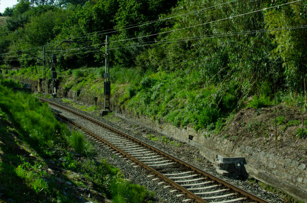 voies ferrées dans la gare vide, pas de train qui passe - no passing lane photos et images de collection