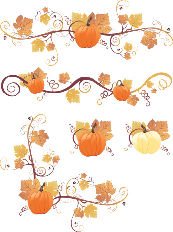 A collection of pumpkin design elements.