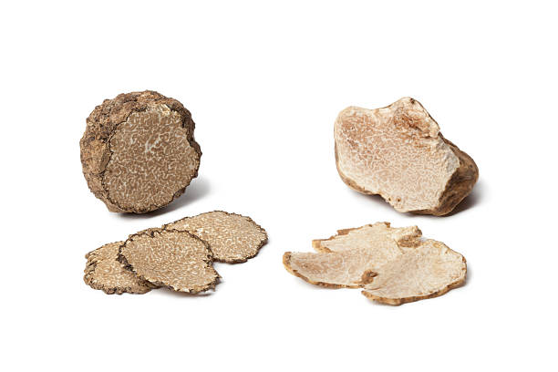 preto e branco trufa - white truffle imagens e fotografias de stock