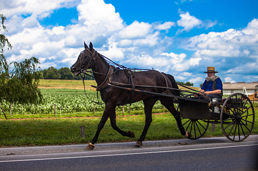 Lancaster, PA / USA - 07/19/2013: Amish old man riding a wagon along the road
