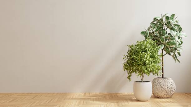 istock Empty room with wooden floor and plant. 1369455197