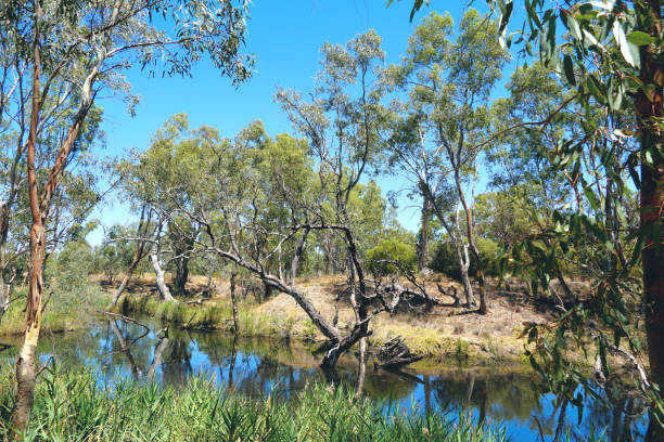 istock Horsham,  Victoria, Australia 1369463446