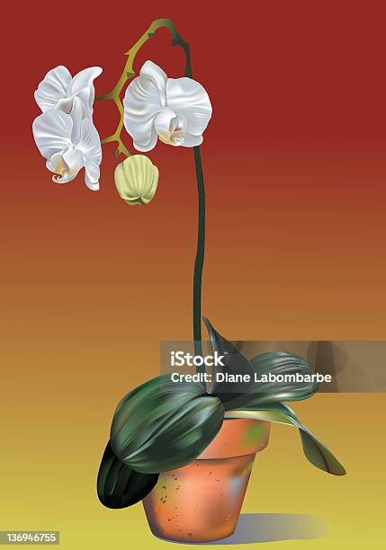 Orchidmesh Mit Farbverlauf Stock Vektor Art und mehr Bilder von Blume - Blume, Blumentopf, Blüte