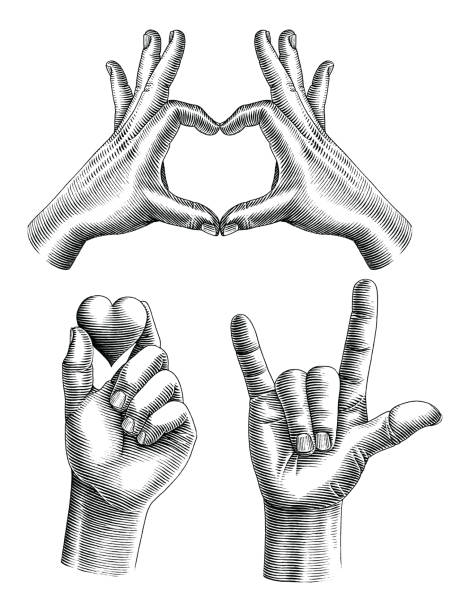 любовь жесты рук рисовать винтажная гравировка стиль черно-белый клипарт - рука человека stock illustrations