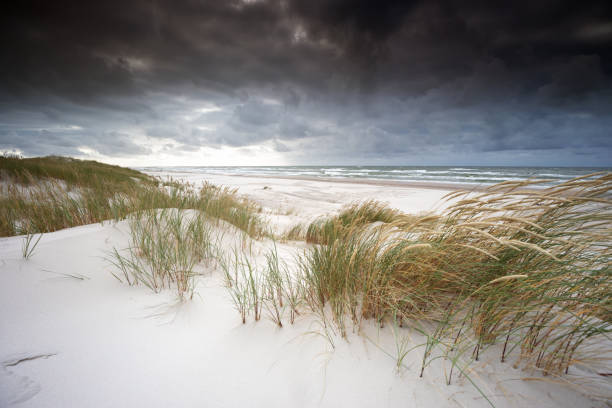 istock Beach, Sand Dunes, Baltic Sea 1369470354