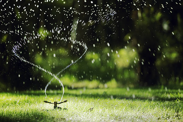 jardin arroseur automatique - spraying water photos et images de collection