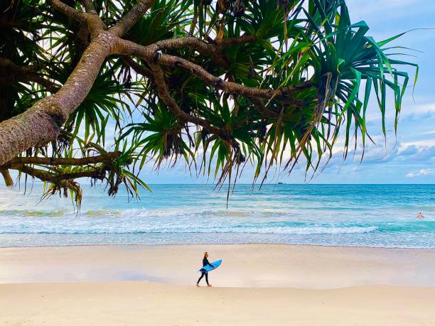 Horizontal seascape of surfer with surfboard walking sand shoreline out to turquoise breaking waves in calm ocean waters with tropical island pandanus tree under a cloudscape sky at Beach Byron Bay NSW Australia
