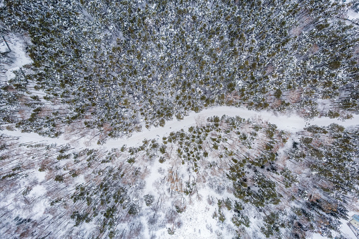 Aerial view of the road in the winter forest with high pine or spruce trees covered by snow. Driving in winter. Natural winter landscape from air. Forest under snow a the winter time.