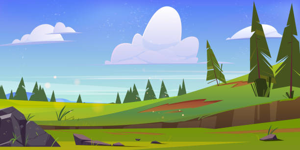 ilustrações de stock, clip art, desenhos animados e ícones de cartoon nature landscape green field or meadow - poland rural scene scenics pasture