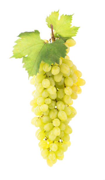 istock Grape cluster with leaves isolated on the white background 1369477400