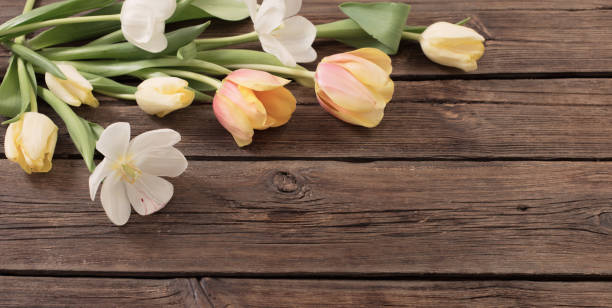 istock beautiful tulips on old dark wooden background 1369479287