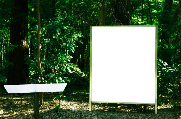 istock Blank Information sign and road sign in the forest 1369480375