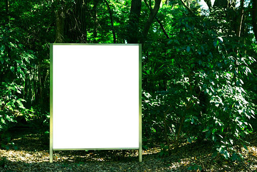 Blank Information sign in the forest with copy space.