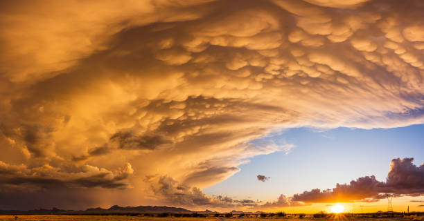Mammatus Clouds at Sunset During a Monsoon Storm Dramatic mammatus clouds illuminated by an Arizona Monsoon season sunset lightning rain thunderstorm storm stock pictures, royalty-free photos & images