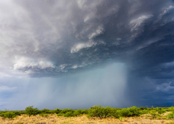 Large downburst from a summer monsoon storm A stunning Arizona monsoon thunderstorm Microburst stock pictures, royalty-free photos & images