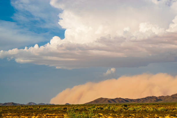 istock Dust Storm in the Arizona Desert 1369481474