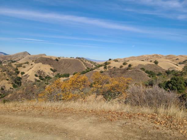 istock Valley Oak in Fall, Sunol Regional Wilderness, California 1369481715
