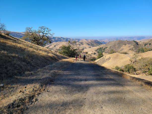 istock Hikers in Sunol Regional Wilderness, California 1369481787