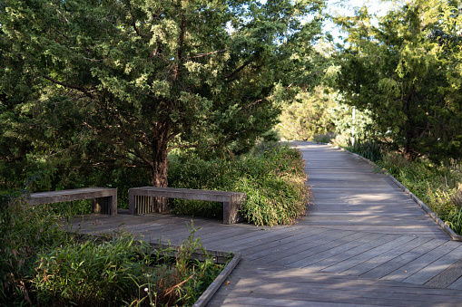 An empty path lined with green plants and trees with benches at Hudson River Park in New York City during the summer