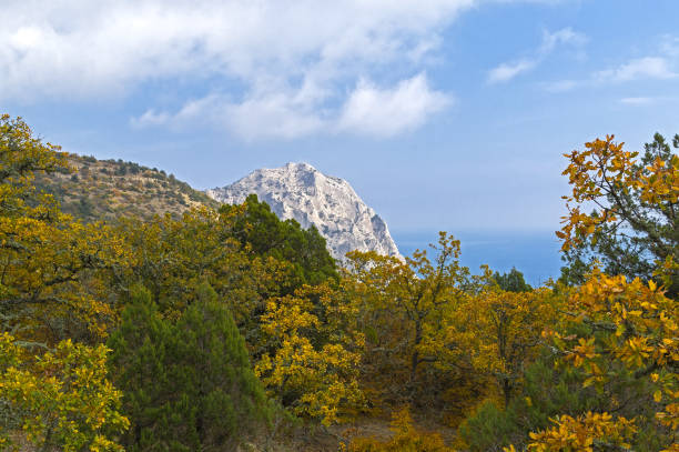Autumn in the Crimean Mountain Forest. The neighborhood of the resort village of Novyy Svet. Sunny day in October.