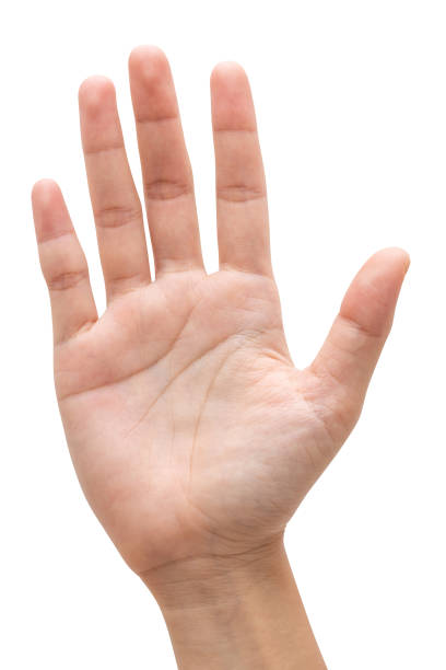 istock Woman hand show finger number five isolated on white background. 1369489580