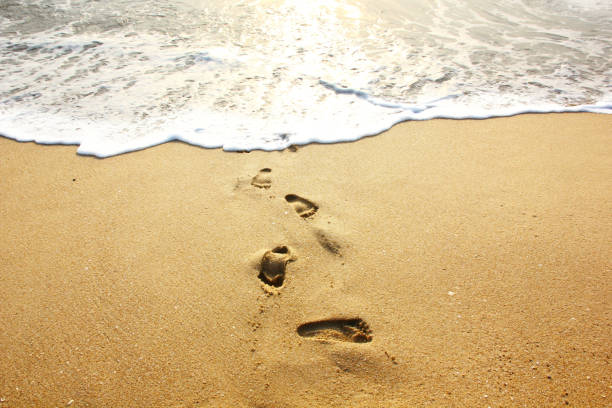 istock footprints on sand beach before the sea erasesthem 1369492259