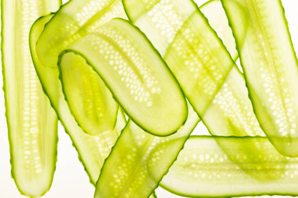 istock Beautiful fresh transparent cucumber slices on white background 1369494230