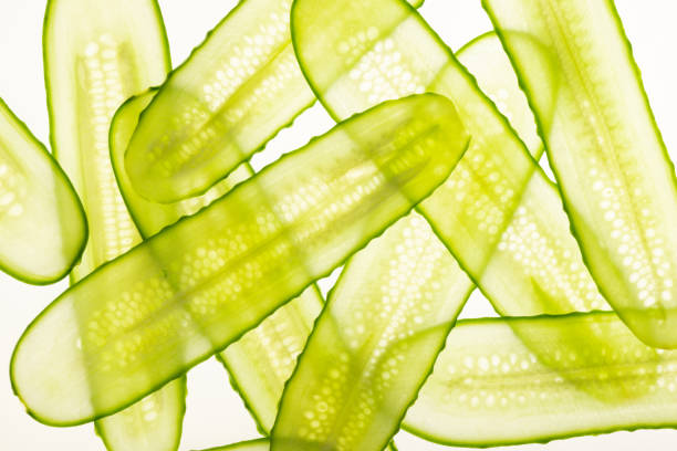 istock Beautiful fresh transparent cucumber slices on white background 1369494240
