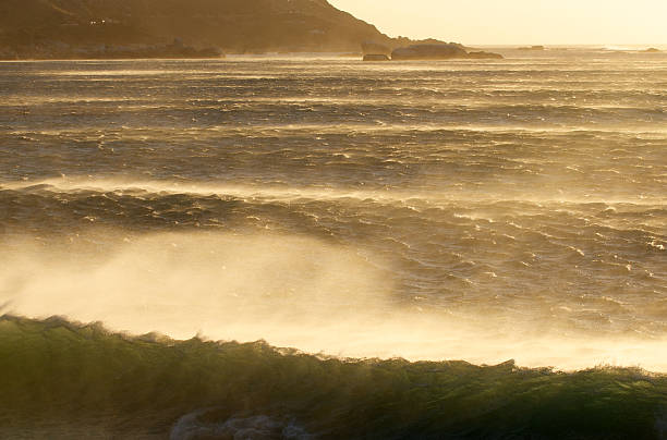 吹きさらしのうねりが高くなり - south africa coastline sea wave ストックフォトと画像