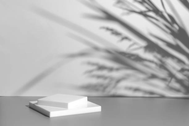 istock scene with white podium on gray background and shadows 1369504297