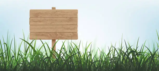 Vector illustration of Wooden billboard template on green grass background