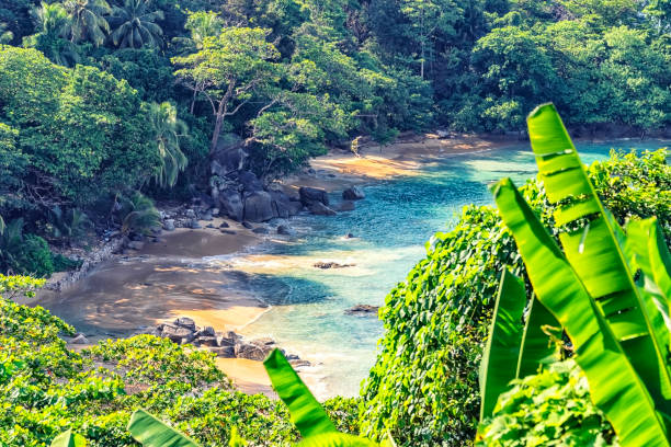 istock Phuket island landscape in the daytime 1369508446
