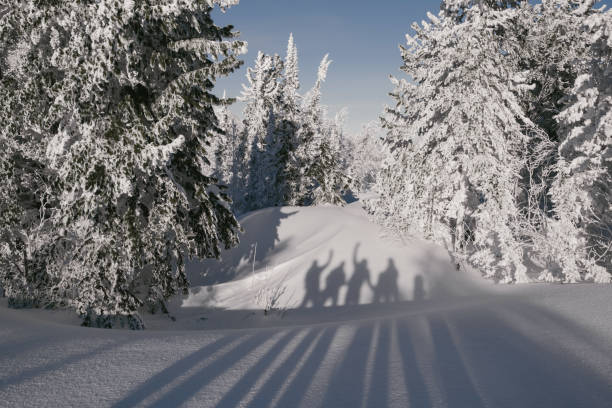 冬の風景モミの森晴れた日の友人スノーボーダーの影 - snowboarding friendship snow winter ストックフォトと画像