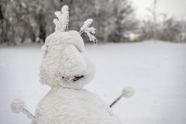 Iced snowman with ice crust in snowy landscape.