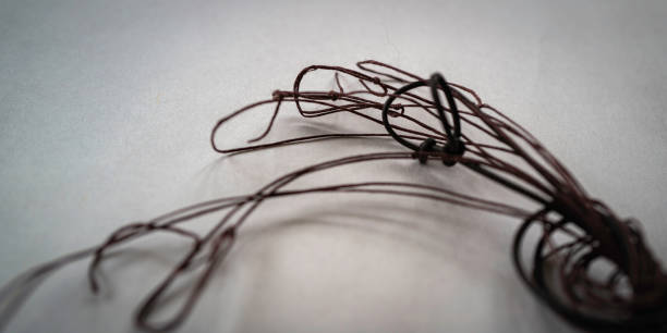 istock Brown strings curving to the left from the right on the white background 1369521234