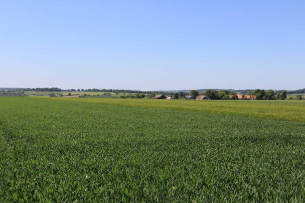 istock Sunny summer day in the Sauerland 1369523995