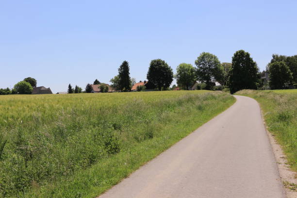 istock Sunny summer day in the Sauerland 1369524262