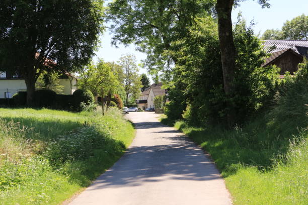 istock Sunny summer day in the Sauerland 1369524392