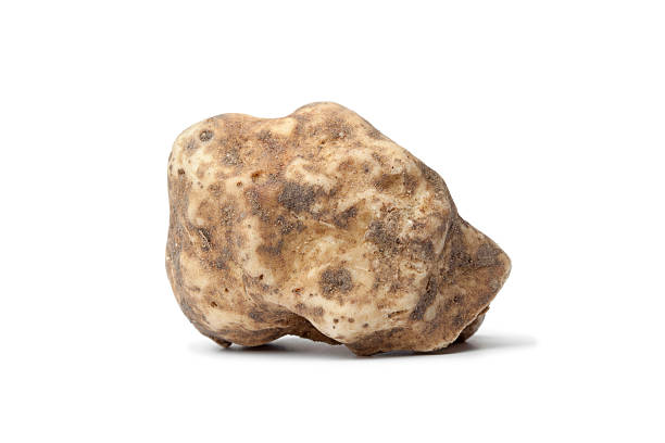 conjunto único trufa branca - white truffle imagens e fotografias de stock