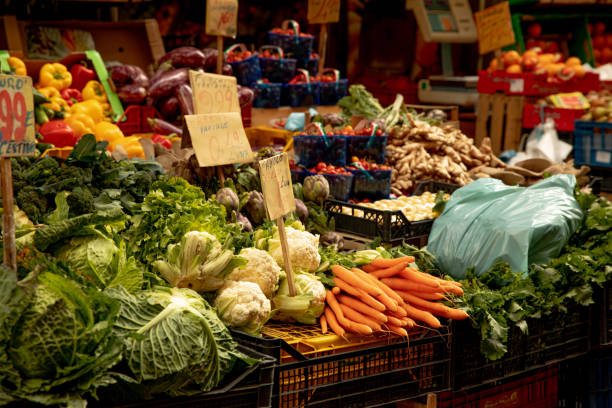 High angle view of colorful vegetables and oranges lined up in a box.