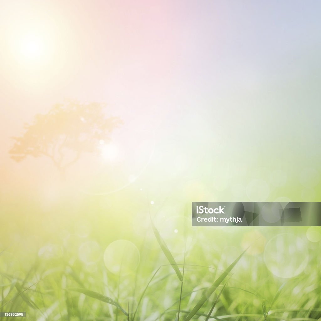 A blurred spring background featuring grass Spring background with beautiful defocused lights. Abstract Stock Photo