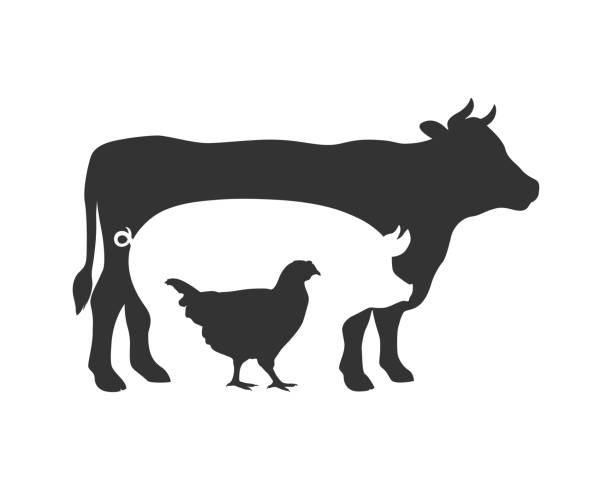Farm animals Farm animals graphic symbol. Cow, pig and chicken sign isolated on white background. Livestock symbol. Vector illustration pig stock illustrations