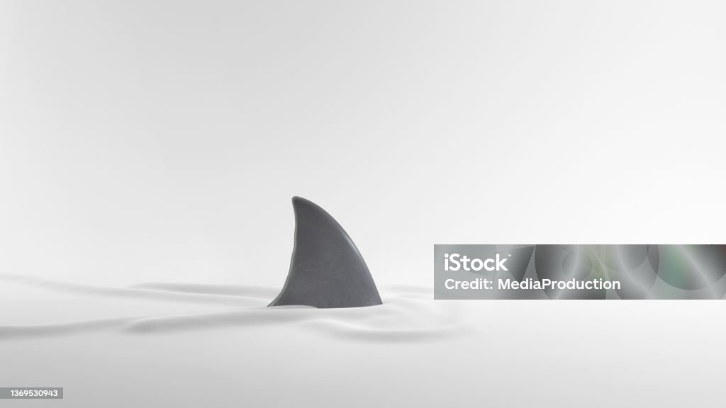 Shark fin on white with ripples Shark Stock Photo