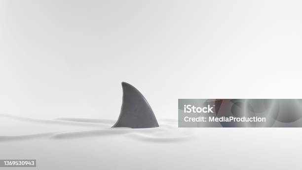 Shark Fin On White With Ripples Stock Photo - Download Image Now - Shark, Animal Fin, Cut Out