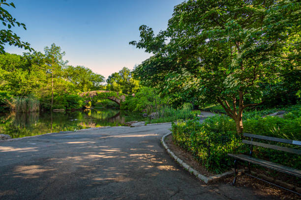 istock Gapstow Bridge in Central Park early spring 1369531332